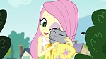 Image Friendship Games