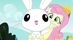 Image Friendship Games