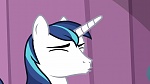 My Little Pony :  picture