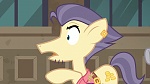 Image Mon petit poney : les amies, c'est magique - saison 6
