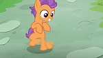 Image Mon petit poney : les amies, c'est magique - saison 6