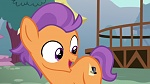 Image Mon petit poney : les amies, c'est magique - saison 6