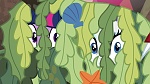 Image Mon petit poney : les amies, c'est magique - saison 6