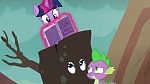 Image Mon petit poney : les amies, c'est magique - saison 6