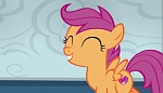 My Little Pony :  picture