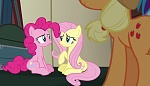 Image Mon Petit Poney :  Buckball Season 