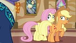 Image Mon Petit Poney :  Viva Las Pegasus 