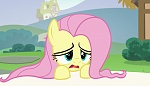 Image Mon Petit Poney :  Every Little Thing She Does 