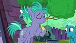 Image Mon petit poney : les amies, c'est magique - saison 6