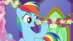 Image Mon petit poney : Les amies c'est magique - saison 7
