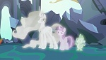 Image Mon Petit Poney : Celestial Advice
