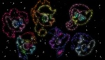Image Mon petit poney : Les amies c'est magique - saison 7