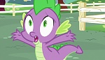 Image Mon petit poney : Les amies c'est magique - saison 7