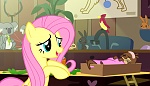 Image Mon petit poney : Les amies c'est magique - saison 7