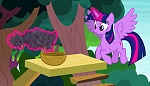 Image Mon petit poney : Les amies c'est magique - saison 7