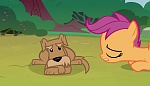Image Mon petit poney : Les amies c'est magique - saison 7