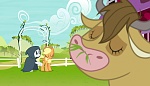 Image Mon Petit Poney : It isn't the Mane Thing About You