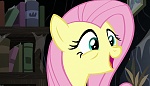 Image Mon petit poney : Les amies c'est magique - saison 7