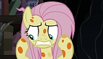 Image Mon petit poney : Les amies c'est magique - saison 7