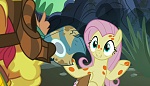 Image Mon Petit Poney :  A Health of Information 