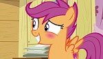 Image Mon petit poney : Les amies c'est magique - saison 7