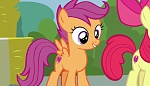 Image Mon petit poney : Les amies c'est magique - saison 7