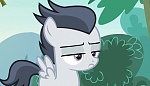 Image Mon petit poney : Les amies c'est magique - saison 7