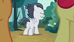 Image Mon petit poney : Les amies c'est magique - saison 7