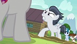 Image Mon petit poney : Les amies c'est magique - saison 7