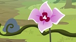 Image Mon petit poney : Les amies c'est magique - saison 7