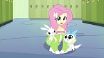 Image Equestria Girls