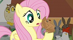 Mon Petit Poney - Les amies, c'est magique! S4 picture