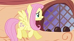 Mon Petit Poney - Les amies, c'est magique! S4 picture