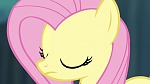 Image Mon Petit Poney - Les amies, c'est magique! S4