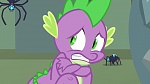 Image Mon Petit Poney - Les amies, c'est magique! S4