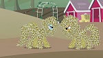 Image Mon Petit Poney - Les amies, c'est magique! S4