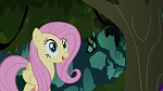 Image Mon Petit Poney - Les amies, c'est magique! S4