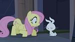 Image Mon Petit Poney - Les amies, c'est magique! S4