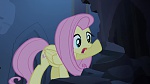 Image Mon Petit Poney - Les amies, c'est magique! S4