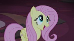 Image Mon Petit Poney - Les amies, c'est magique! S4