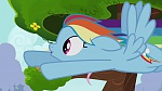 Image Mon Petit Poney - Les amies, c'est magique! S4