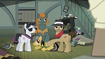 Image Mon Petit Poney - Les amies, c'est magique! S4