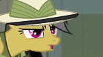 Image Mon Petit Poney - Les amies, c'est magique! S4
