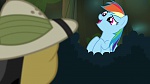 Image Mon Petit Poney - Les amies, c'est magique! S4