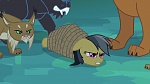Image Mon Petit Poney - Les amies, c'est magique! S4
