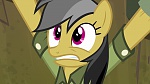 Image Mon Petit Poney - Les amies, c'est magique! S4