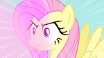Image Mon Petit Poney : Bats