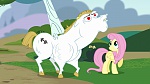 My Little Pony : Rainbow Falls  picture