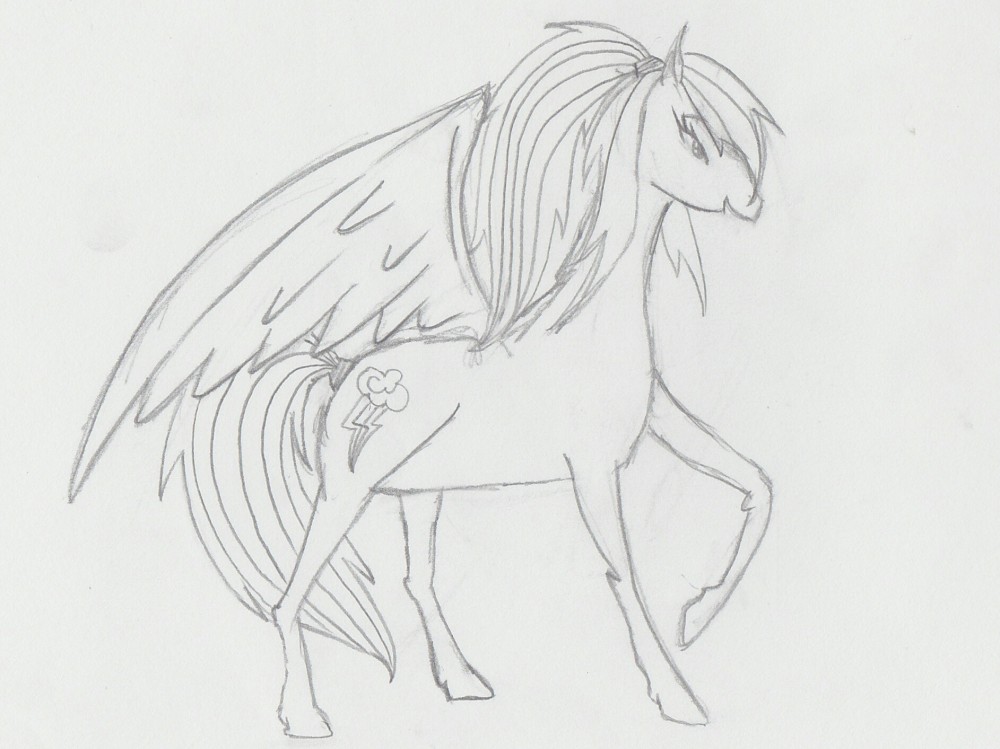 Dessin RD brouillon