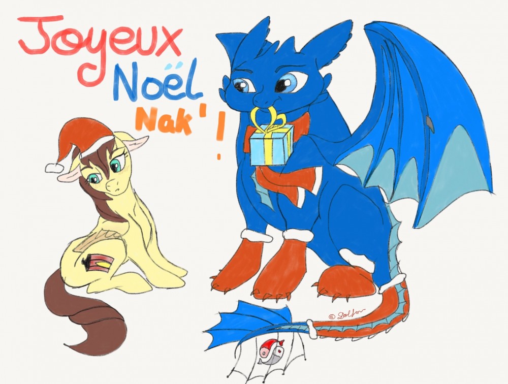 Joyeux Noël Nakou! <3 Collab' Noël des Modos'